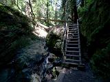 Mt Tamalpais SP 12